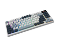 MSI FORGE GK600 TKL WIRELESS SKY